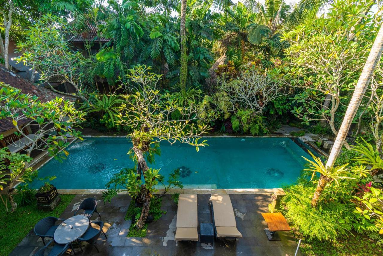 Casa di campagna The Pause - Soca 3 Ubud
